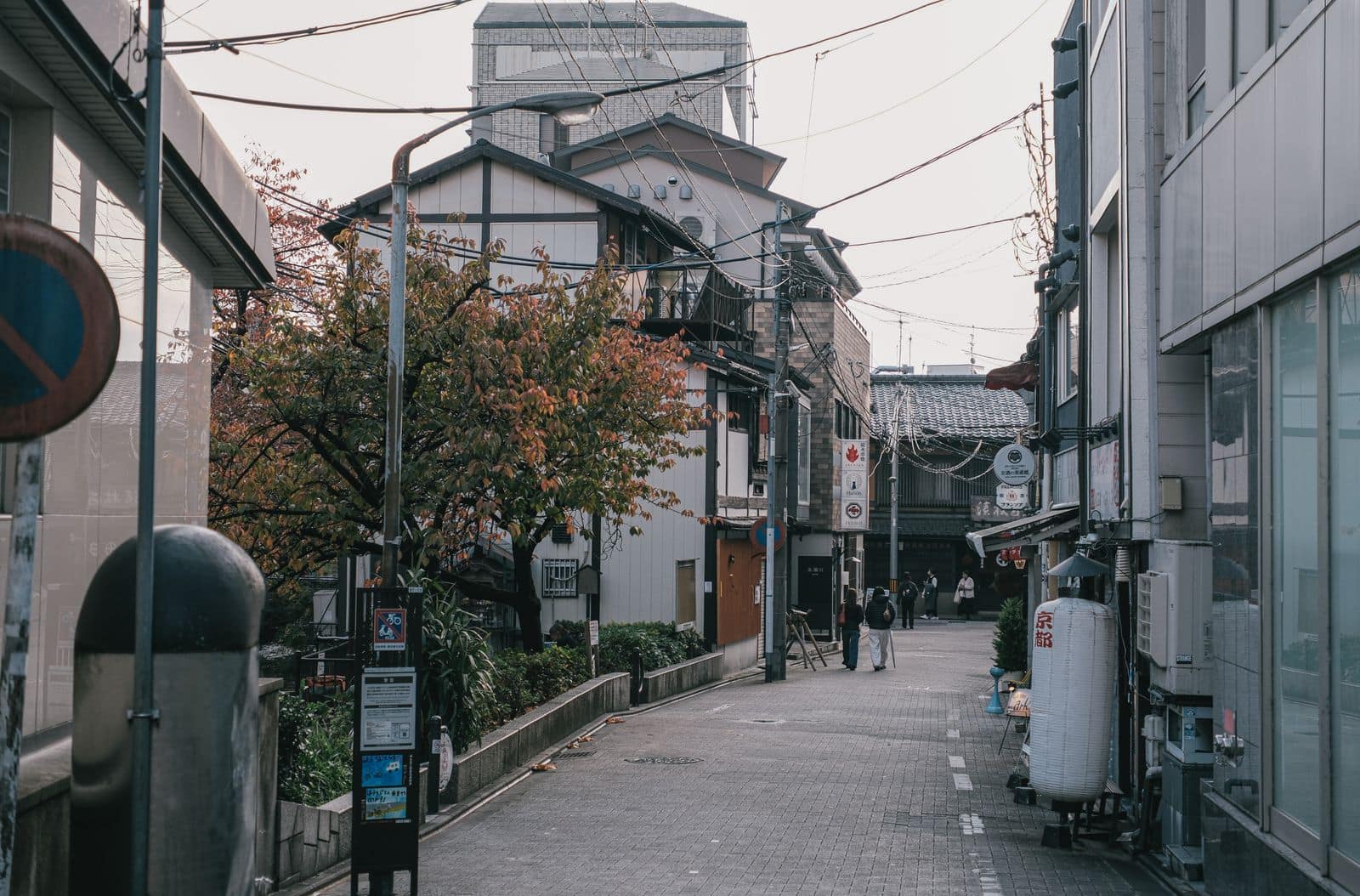 静かな住宅街の道