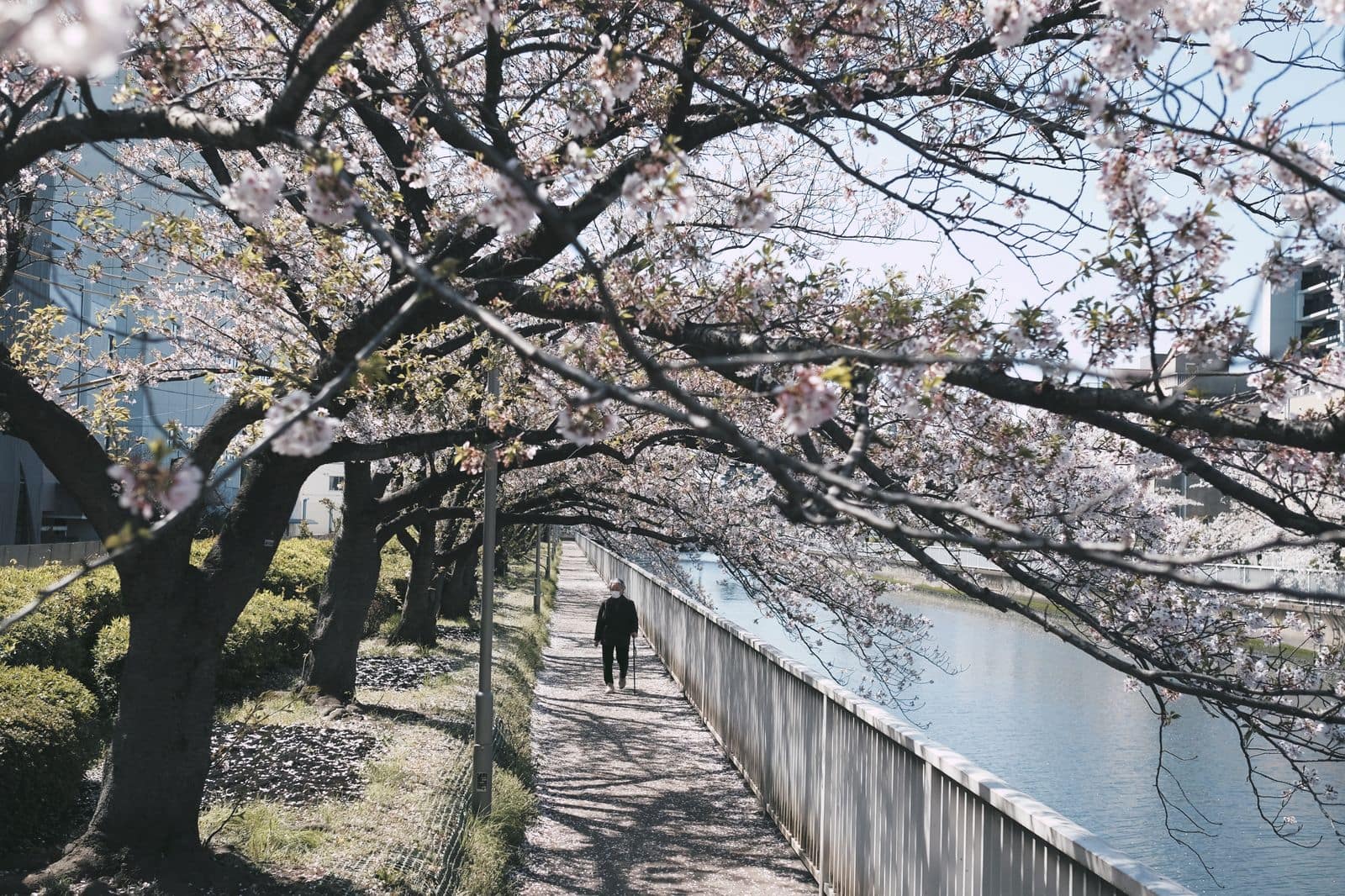 川沿いの遊歩道