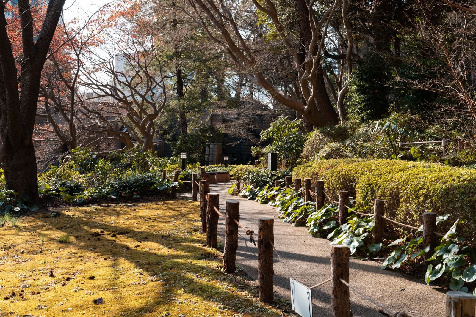 緑の多い公園